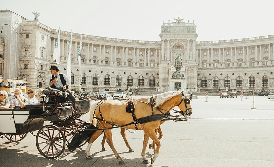 Foto: Sandro Gonzalez/unsplash