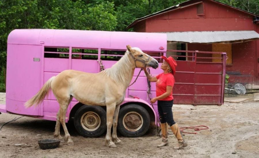 Diese Ausstellungen eröffnen im Juni 2026. Foto: Keisha, Atlanta Saddle Club Association, Georgia, © Sabine Bungert and Stefan Dolfen