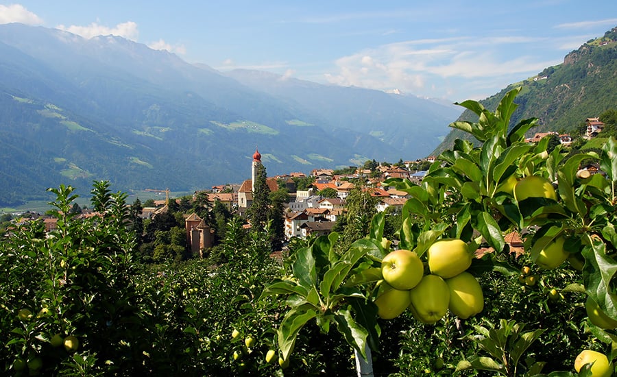 Partschins im Vinschgau in Südtirol . Foto: Beatuerk/Adobe Stock